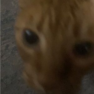 Meet your Posher, Jayce